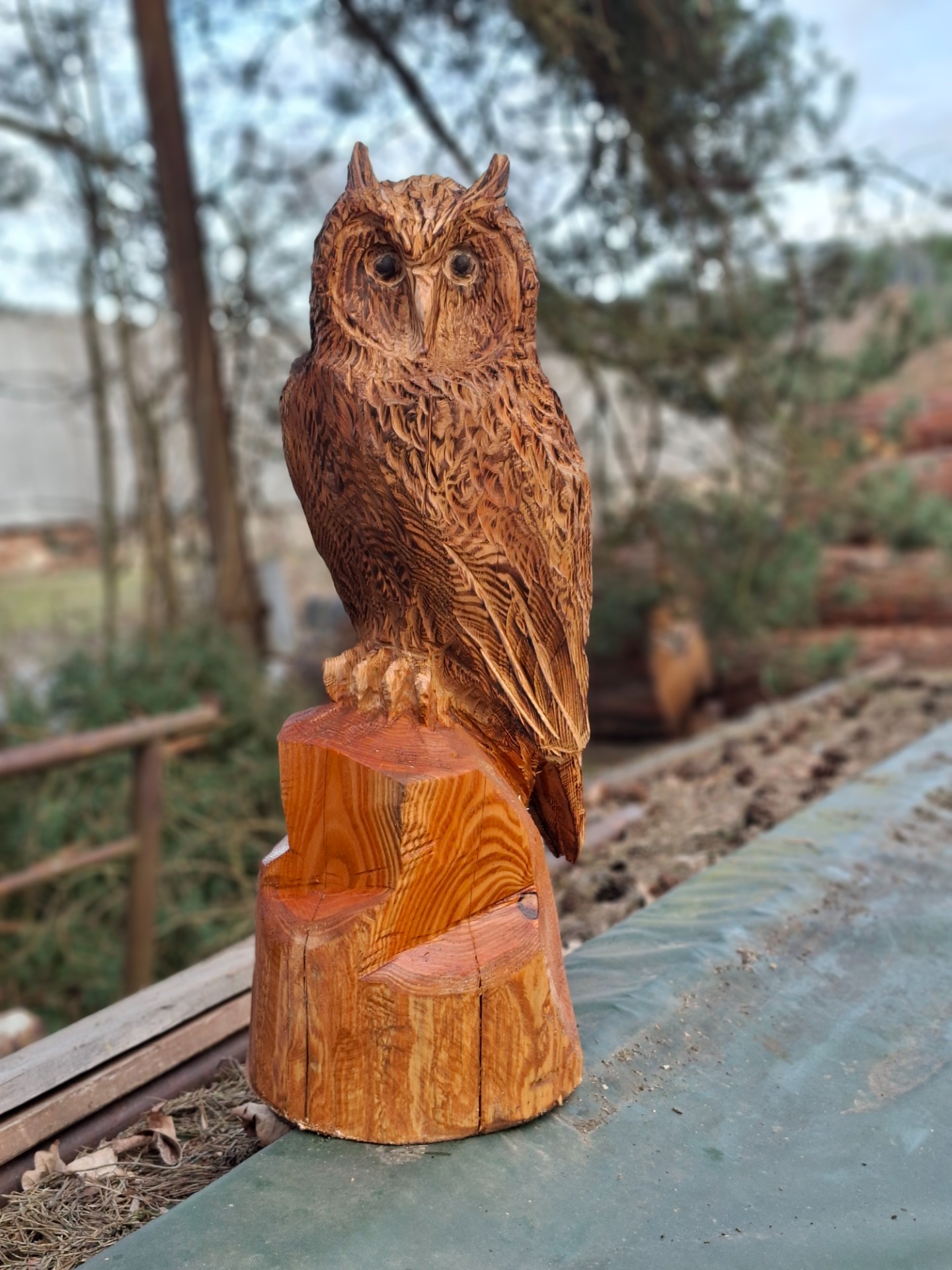 sova ze dřeva dřevořezba